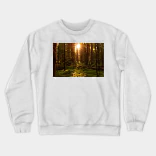 Golden light in the forest Crewneck Sweatshirt